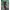 Fieldcore cargo longpant  photo 4