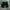 Short pant cargo fieldcore cordura  photo 1