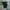 Short pant cargo fieldcore cordura  photo 4