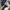 AIR FORCE 1 LOW X LOUIS VUITTON VIRGIL ABLOH WHITE & TEAM RO photo 8