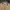 Dior Vintage Y2K Harrington jacket Pria yellow tan photo 3