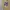 Dior Vintage Y2K Harrington jacket Pria yellow tan photo 6