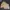 Dior Vintage Y2K Harrington jacket Pria yellow tan photo 2