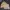 Dior Vintage Y2K Harrington Jacket Pria Yellow Tan