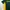 CRICKET SHIRT AUSTRALIA BY WINNING SPIRIT  photo 6