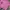 Casual Crop top Wanita pink photo 2
