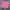 Casual Crop Top Wanita Pink