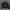 Covernat Streetwear Casual Puffer Jacket Pria Cream Black