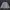 Covernat Streetwear Casual Puffer jacket Pria cream black photo 3
