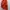 Come a Cross Streetwear Windbreaker Pria orange photo 8