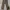 Carhartt Casual Casual pants Pria photo 5
