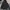 Dickies Hoodie Zipper photo 1