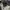 Fear of God Avant Garde Short Pria tan photo 6