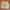 Japanese Brand Vintage Gorpcore Short Pria Cream Tan