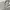 Ocean Pacific Vintage Y2K Hoody Pria white photo 2