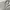 Ocean Pacific Vintage Y2K Hoody Pria White