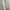 Blouse Dress Baby Doll  photo 5