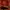 Authentic Wizarding World Gryffindor Scarf photo 3