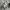 Long pants sweatpants baggy buff photo 7