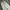 Long pants sweatpants baggy buff photo 5