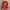 MLB Red Sox Boston Red Sweatshirt photo 1