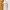 Dress Midi Wrap Beige Premium