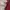 Dickies Casual Jumper Pria red gray photo 3