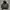 Vintage Stussy Crossbone Hoodie photo 4