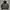 Vintage Stussy Crossbone Hoodie photo 3