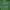 Feltics Casual Hoody Pria green photo 2