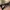Kacamata ray-ban second original photo 3