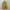Vintage Burberrys Parka Jacket photo 1