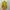 Vintage Burberrys Parka Jacket photo 2