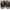 Tods sneaker mens photo 4