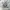 Nike Vintage Y2K Jumper Pria cream photo 4