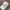 Nike Vintage Y2K Jumper Pria cream photo 1