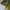 ECWCS - Woodland us army camo gen 1 photo 7