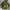 ECWCS - Woodland us army camo gen 1 photo 3