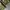 ECWCS - Woodland us army camo gen 1 photo 8