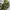 ECWCS - Woodland us army camo gen 1 photo 5