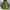 ECWCS - Woodland us army camo gen 1 photo 1