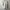 Polham Minimalist Casual T-shirt Pria gray photo 2
