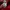 Reebok Streetwear Y2K Jersey Pria red black photo 5