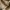 Fossil Gigi Flap Crossbody photo 5