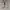 Onitsuka Tiger Mexico 66 Full Leather list Italy photo 2