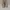Onitsuka Tiger Mexico 66 Full Leather list Italy photo 4