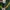 Reebok Streetwear Sportswear Jersey Wanita green yellow photo 5