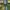 Reebok Streetwear Sportswear Jersey Wanita green yellow photo 7