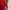 Reebok Streetwear Sportswear Jersey Pria red black photo 5