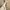 Charles and keith heels NUDE  39 photo 4
